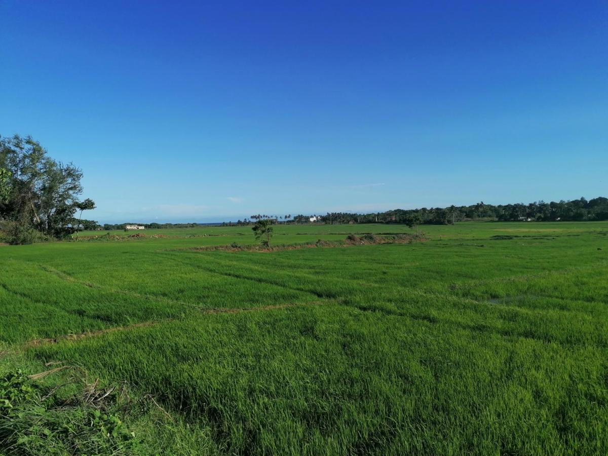 Ladja Beach Resort Ambalantota 외부 사진
